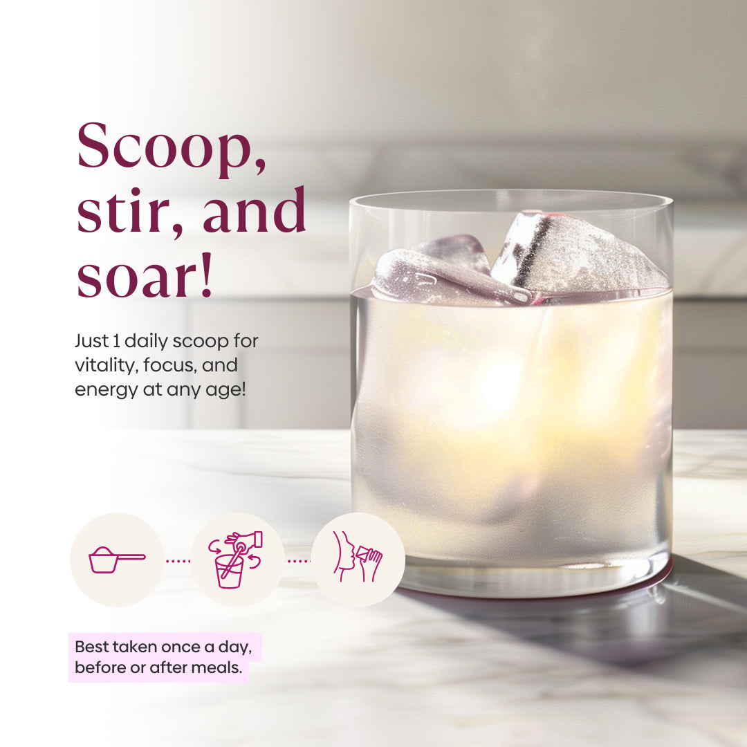 Daily Longevity Blend
